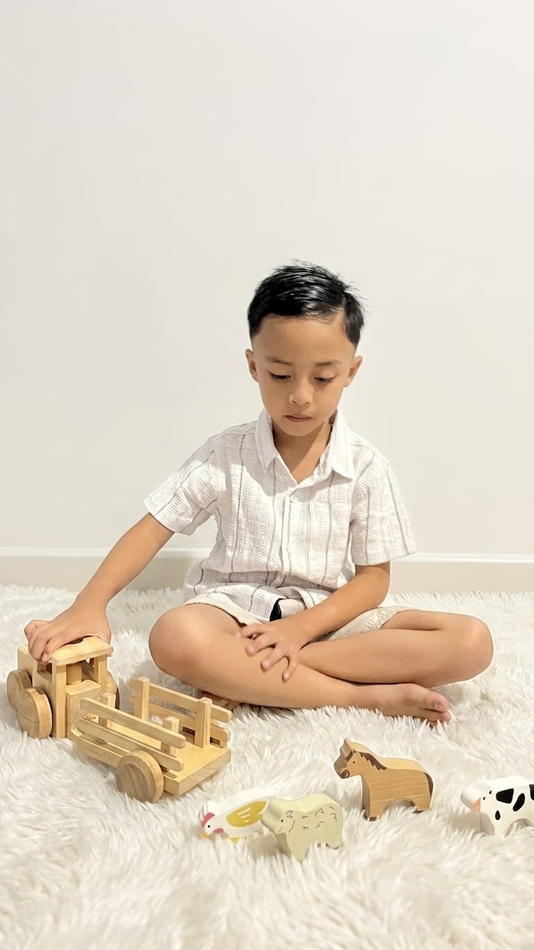 Handcrafted wooden toys with natural finish